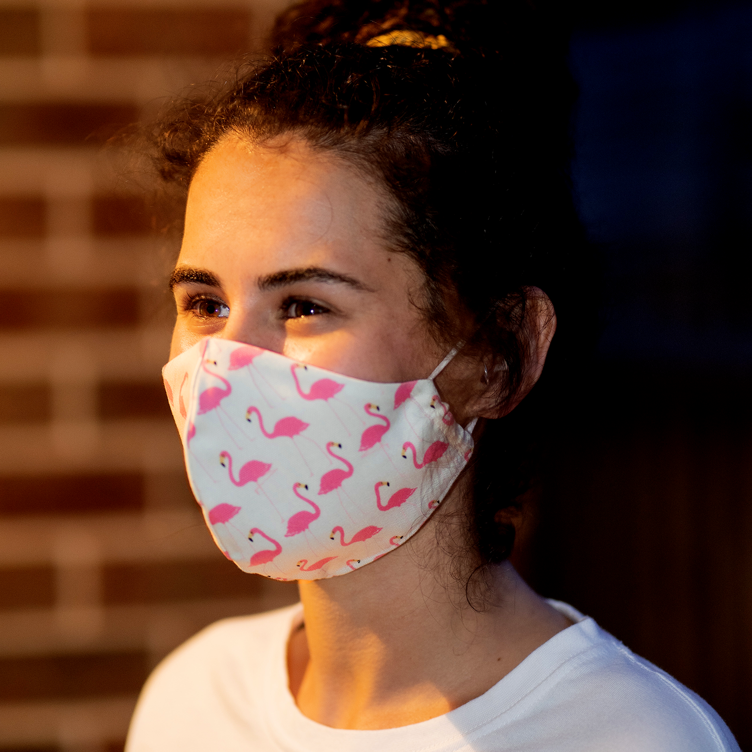 "Don't FlaminGo Out" Print Triple-layer Washable Face Mask